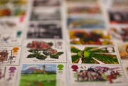 20th Feb 2016 - Stamp Collection
