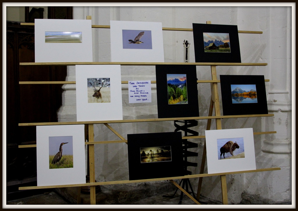 Photography exhibition by busylady