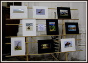 20th Feb 2016 - Photography exhibition