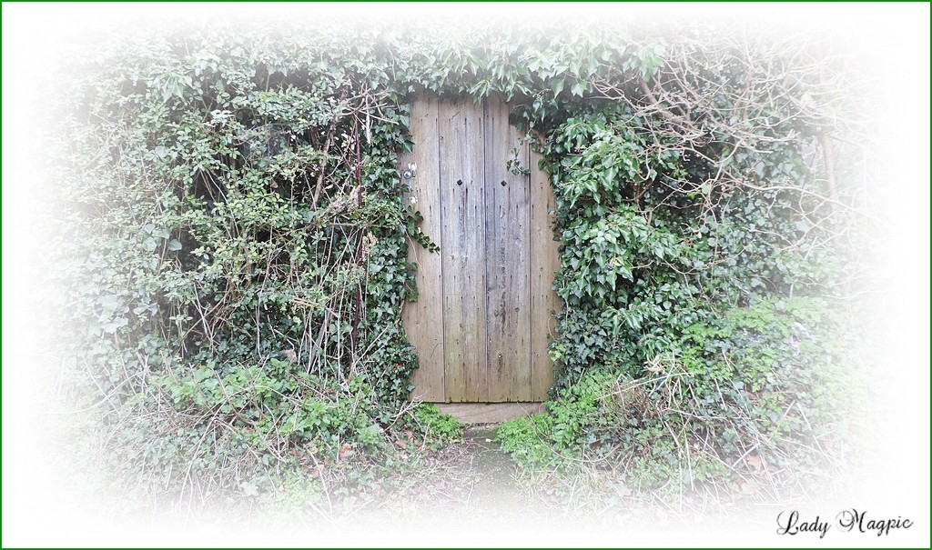 Gate in the Hedgerow by ladymagpie