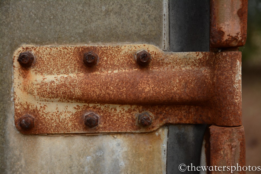 Rusty hinge by thewatersphotos