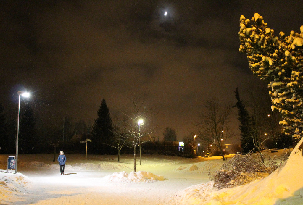 Winter night in Kerava by annelis
