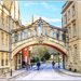The Bridge Of Sighs (Hertford Bridge) Oxford by carolmw