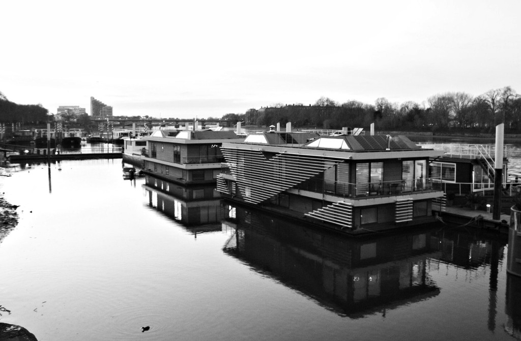 Houseboats On The Thames  by oldjosh