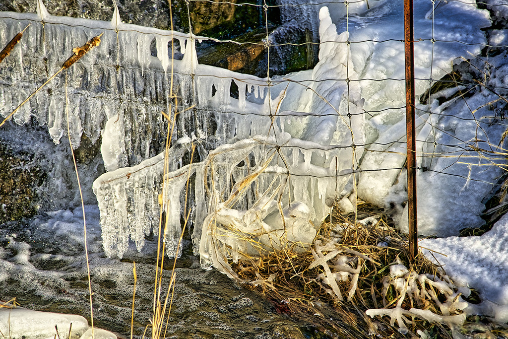 Fence and Ice by gardencat
