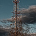 Antennae? Cell tower? by joansmor