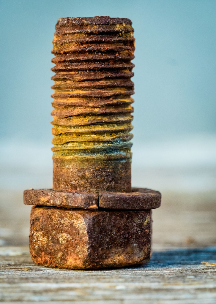 Bolt Upright by rosiekerr