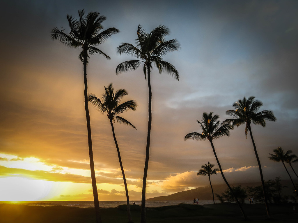 ~Sunset on Maui~ by crowfan