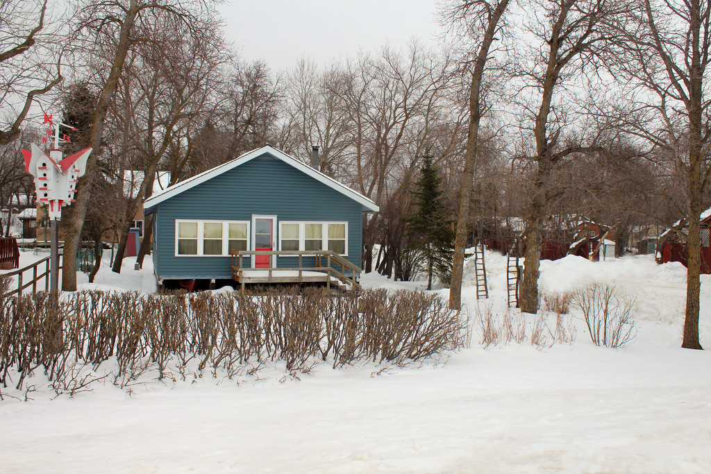 Summer Cottage in Winter_107:365 by gaylewood