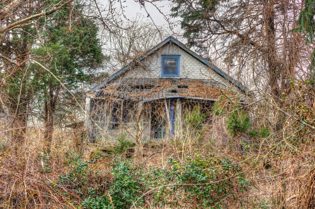 Abandoned House In The Woods by swchappell