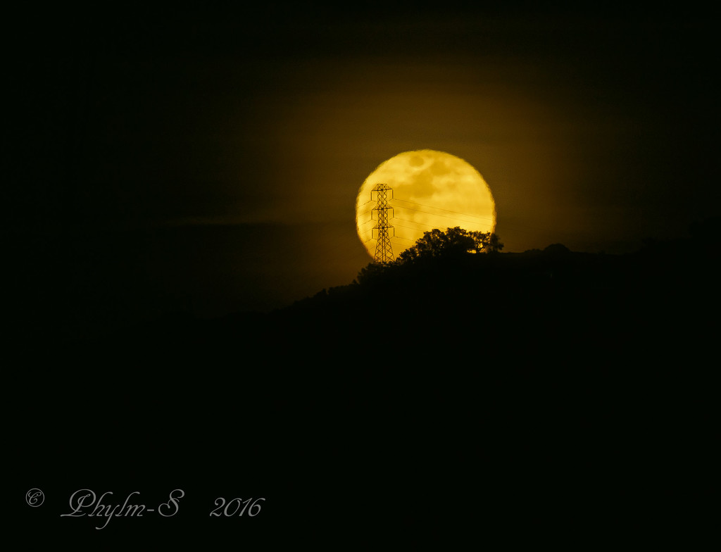 Moonrise Tonight by elatedpixie