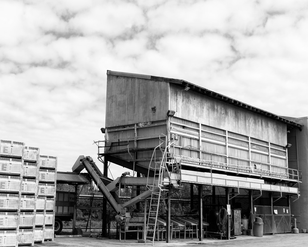 Shipping Oranges by eudora