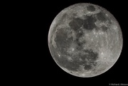 23rd Feb 2016 - Tonights moon almost full.