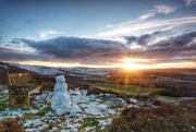 15th Feb 2016 - The Snowman and the Snowdog