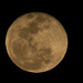 Last Night's Moon by rickster549