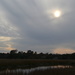 Sun peeking through clouds above Old Towne Creek, Charles Towne Landing State Historic Site, Charleston, SC by congaree