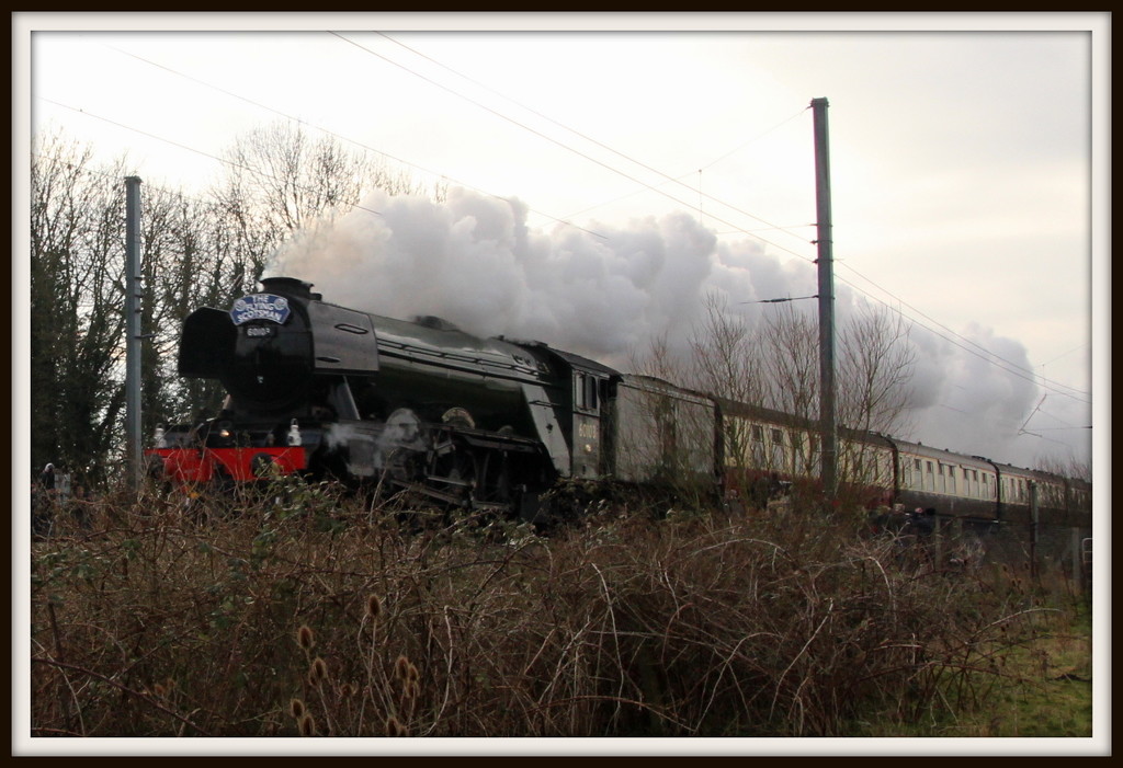 Flying Scotsman  by busylady