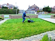 27th Feb 2016 - The first mow of the year  