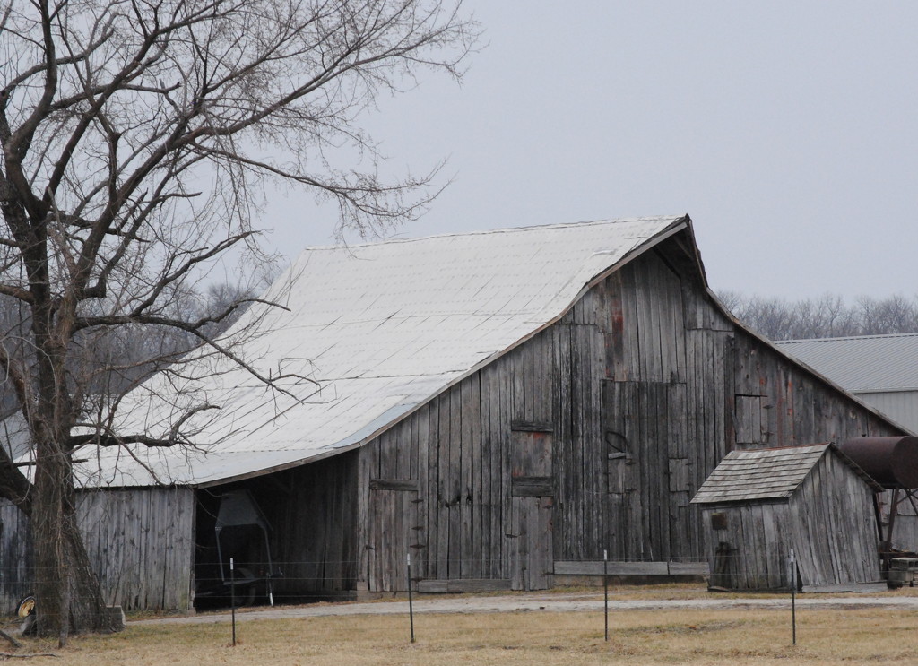 My Neighbor's Weathered Barn by genealogygenie