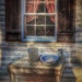 The Window by sbolden