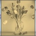 vases of tulips by quietpurplehaze