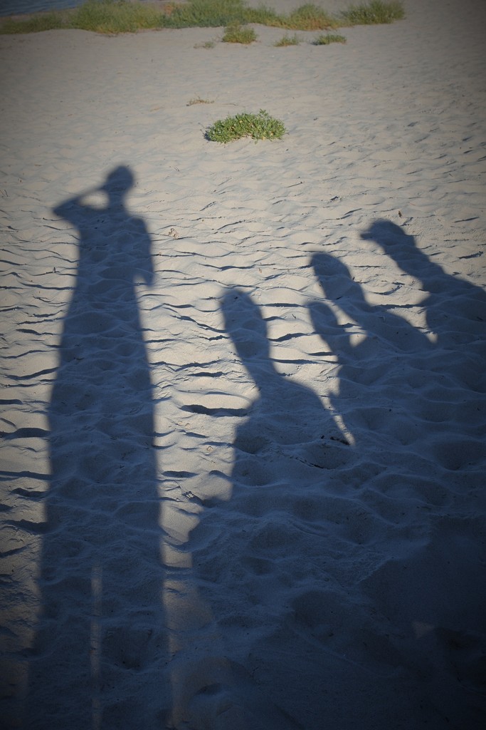 Shadows by jodies