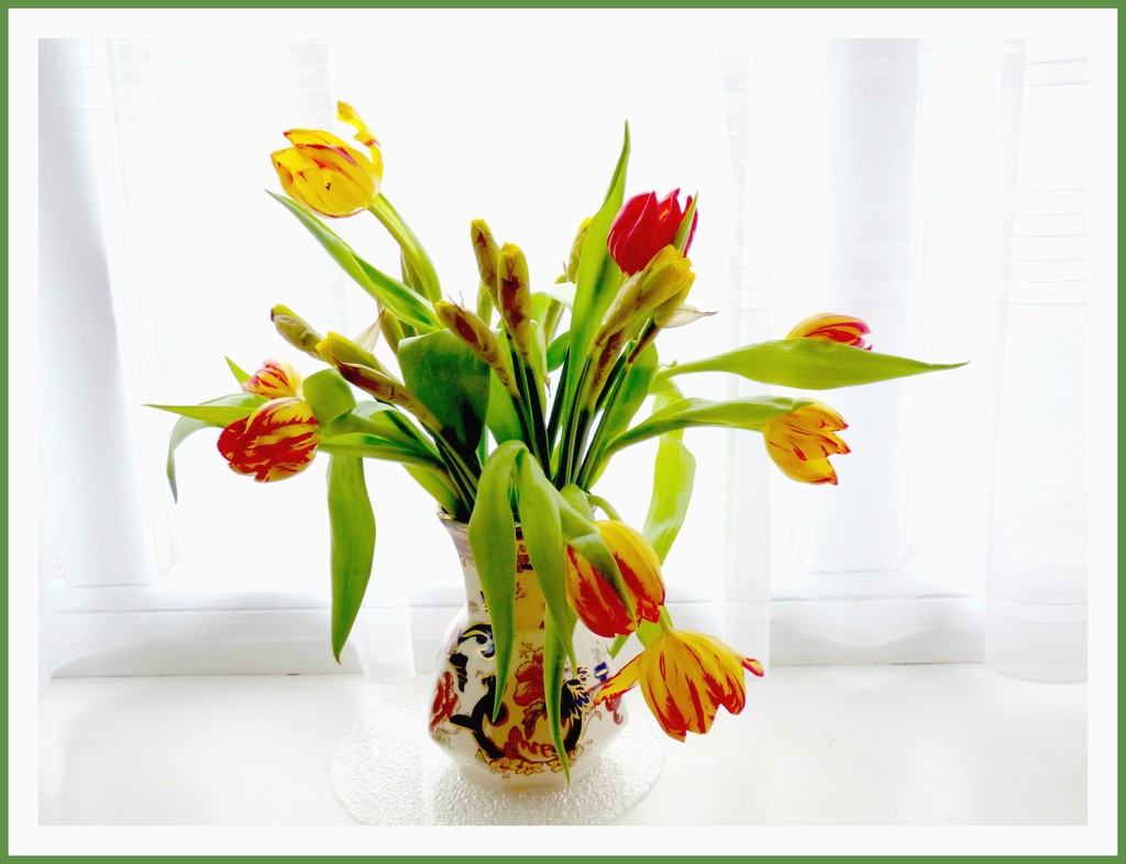 Tulips and daffodils  by beryl