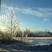 Ice storm near Orangeville with my iphone by edie