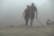28th Feb 2016 - Walk in the Fog