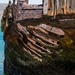 Shipwreck by seacreature