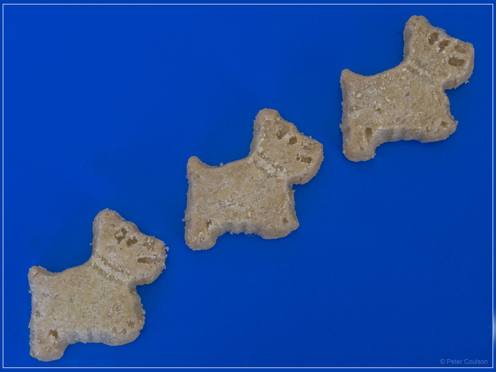 Dog Biscuits by pcoulson