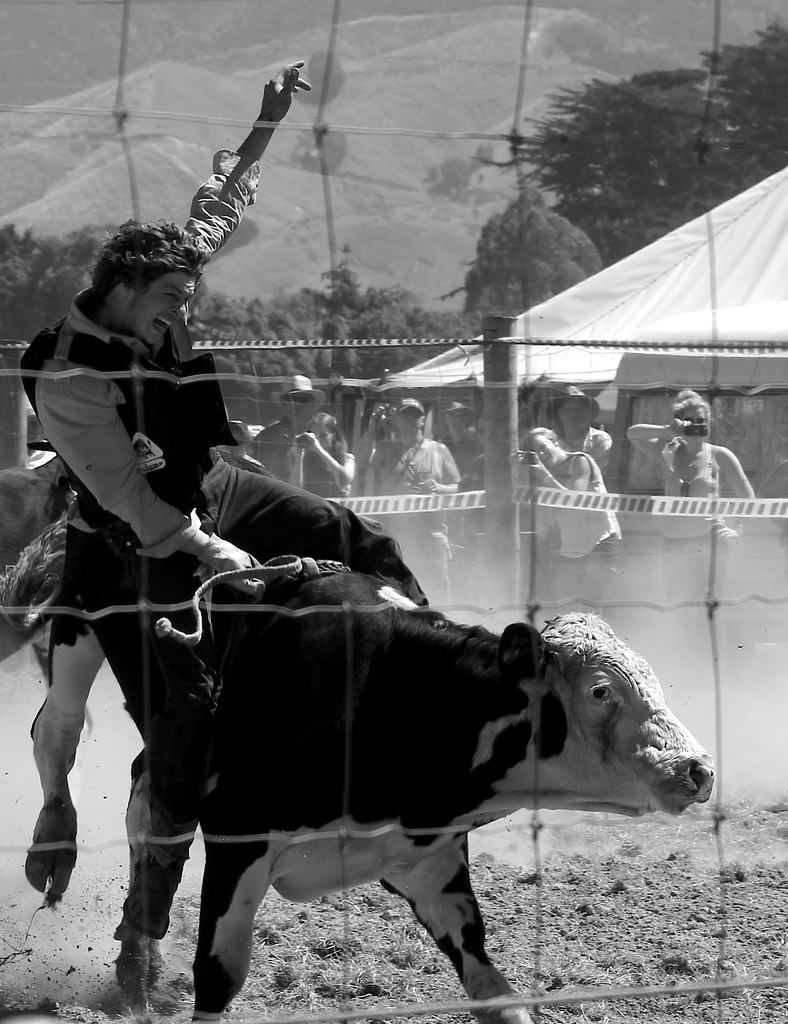 Bull-riding at the rodeo by kiwinanna