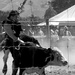 Bull-riding at the rodeo by kiwinanna
