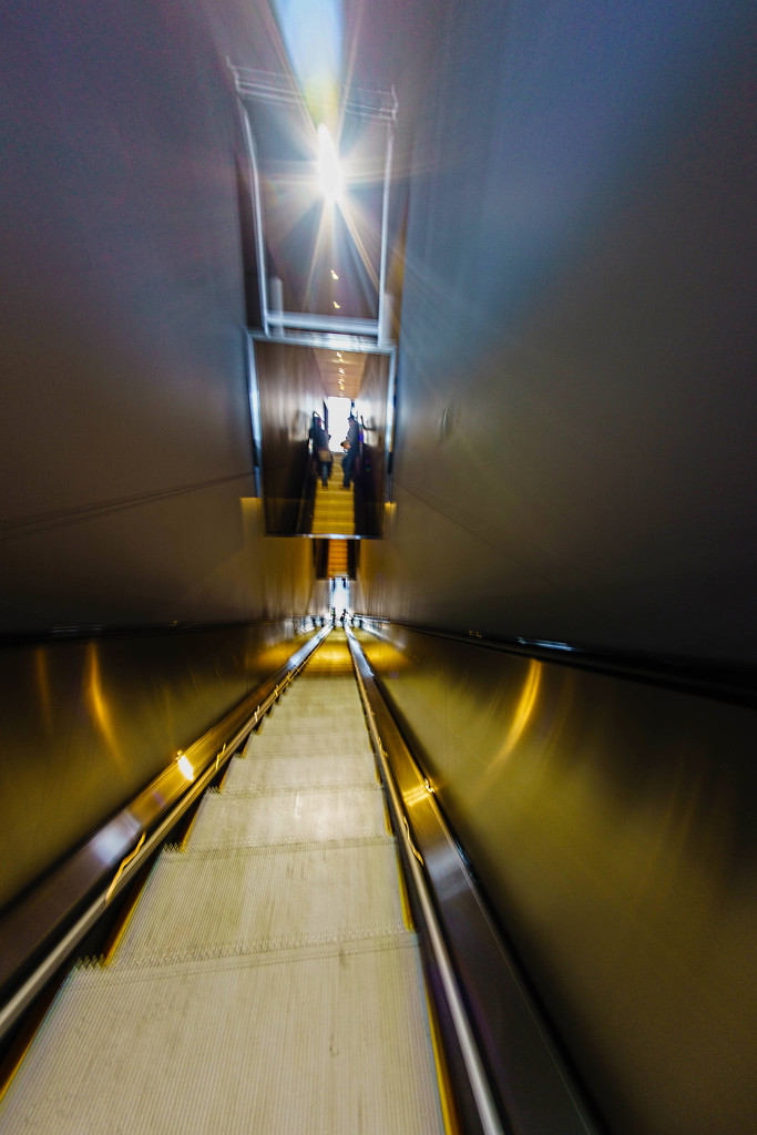 Escalator or Another Selfie by tosee