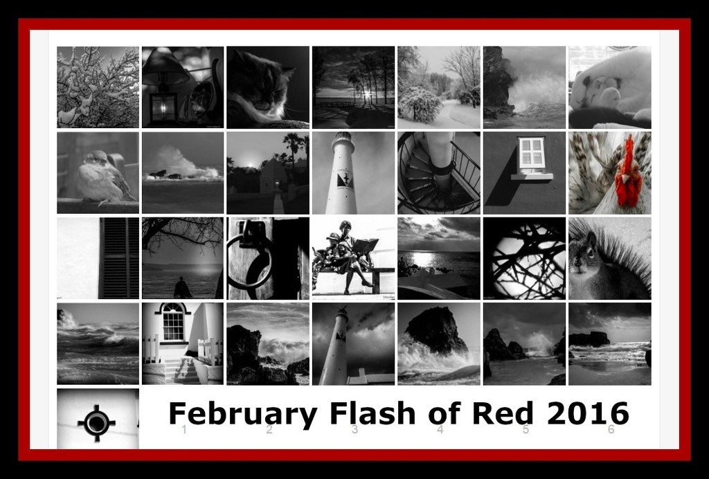 Flash of Red 2016  by radiogirl