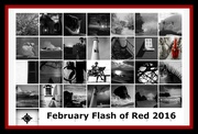 1st Mar 2016 - Flash of Red 2016 