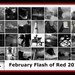 Flash of Red 2016  by radiogirl