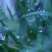 Rainy day blues by ziggy77