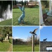 Hare Park Sculptures by foxes37