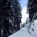 Snowy Trails by brookiew