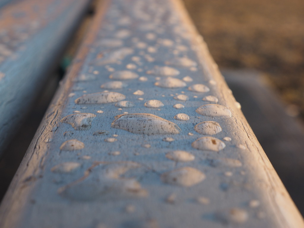 Raindrops on Park Benches by selkie