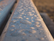 29th Feb 2016 - Raindrops on Park Benches