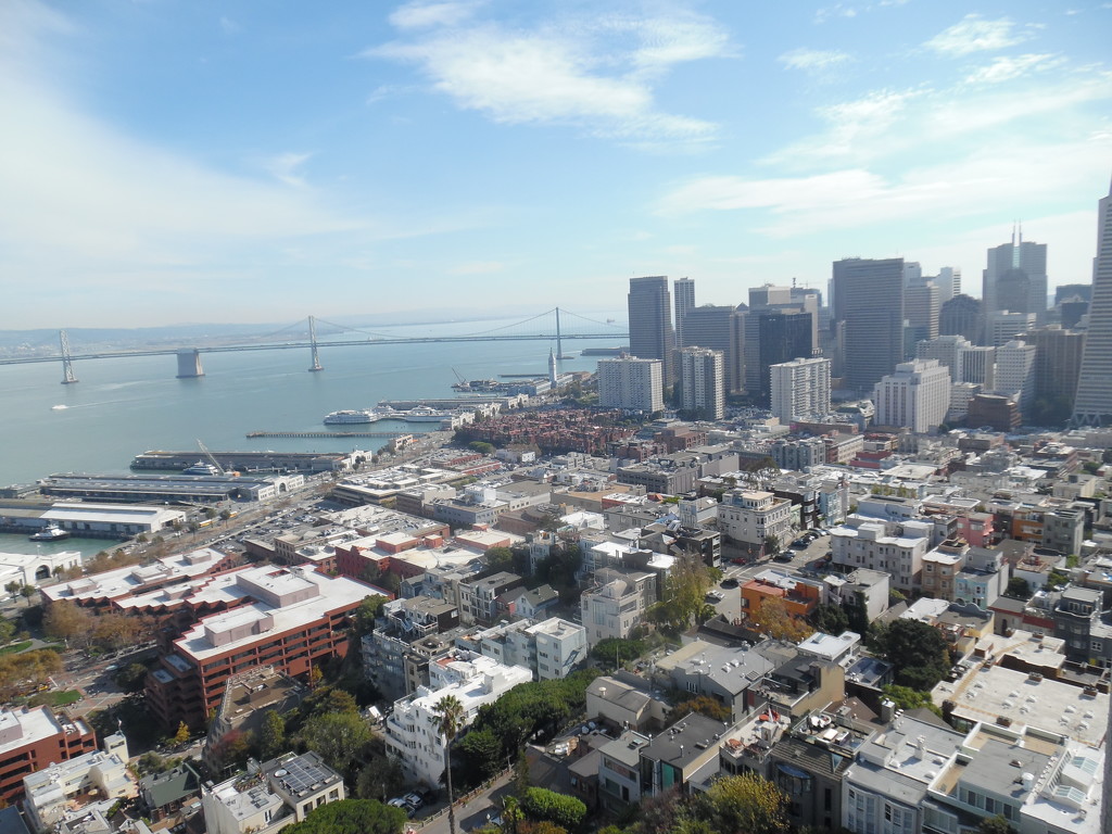SF from Coit POV by jnadonza