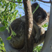 boo! by koalagardens