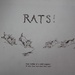 rats by edorreandresen