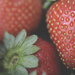 Sweet Strawberries  by nicolecampbell