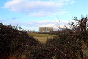 1st Mar 2016 - A trip to Sizewell
