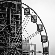 29th Feb 2016 - and the wheel goes round and round