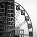 and the wheel goes round and round by annied