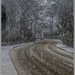 Snow on the road by pcoulson